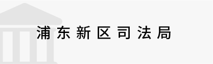 数字政务&政法